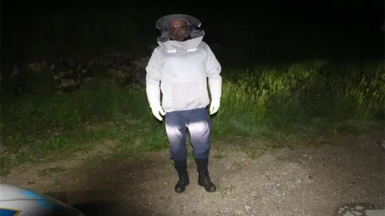 Pčele zaustavile promet kod Vrbovskog: Policajci na očevid stigli u za&scaron;titnim odijelima