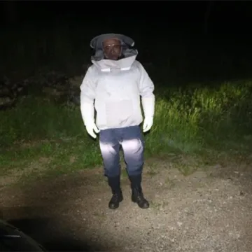 Pčele zaustavile promet kod Vrbovskog: Policajci na očevid stigli u za&scaron;titnim odijelima