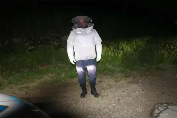 Pčele zaustavile promet kod Vrbovskog: Policajci na očevid stigli u za&scaron;titnim odijelima
