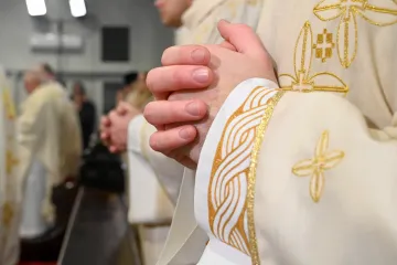 Obrat u slučaju župnika i njegovog psa, ipak ga neće uspavati? 'Biba se ide cijepiti'