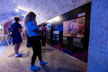 Skriveni svijet koralja zaživio u Aquariumu Pula