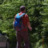 Jedan ugriz može prenijeti ozbiljne bolesti: Epidemiologinja upozorava gdje sve vrebaju