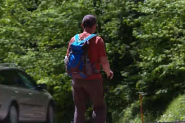 Jedan ugriz može prenijeti ozbiljne bolesti: Epidemiologinja upozorava gdje sve vrebaju
