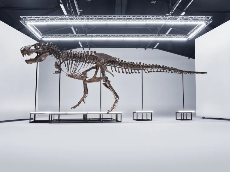 Predmet ismijavanja, ali znate li da postoji razlog za&scaron;to je T-rex imao tako male ruke?