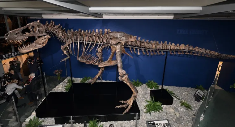 Predmet ismijavanja, ali znate li da postoji razlog za&scaron;to je T-rex imao tako male ruke?