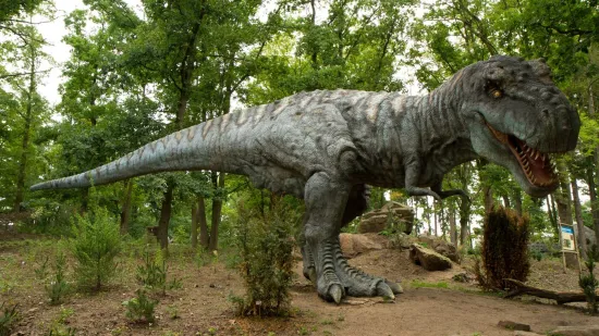 Predmet ismijavanja, ali znate li da postoji razlog za&scaron;to je T-rex imao tako male ruke?