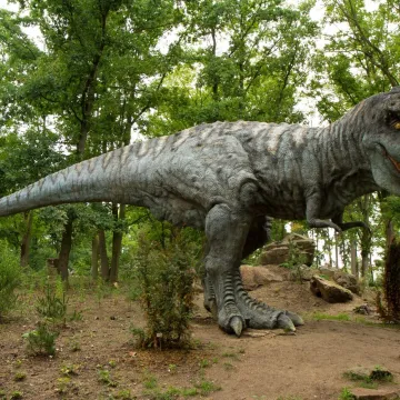 Predmet ismijavanja, ali znate li da postoji razlog za&scaron;to je T-rex imao tako male ruke?