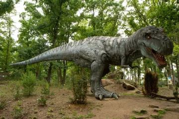 Predmet ismijavanja, ali znate li da postoji razlog za&scaron;to je T-rex imao tako male ruke?