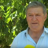 Voćar Nikola ne vidi izlaz: 'Jo&scaron; ova na&scaron;a generacija to će držati i gotovo je vi&scaron;e'