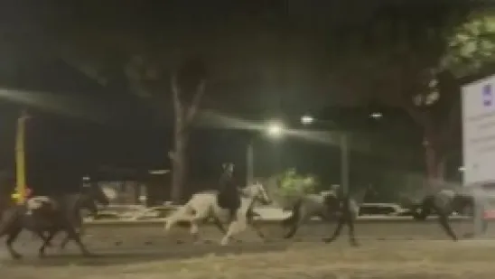 Policajac aktivirao pirotehniku i upla&scaron;io konje: Razbježali se po gradu, nekoliko jahača ozlijeđeno