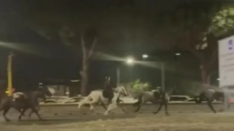 Policajac aktivirao pirotehniku i napravio kaos: Ozlijeđeni jahači i konji
