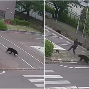 Medvjed ozlijedio četvero ljudi: Procurile snimke napada, građanima izdano upozorenje