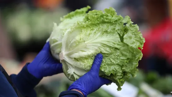 U salati na&scaron;li previ&scaron;e pesticida, a dok je inspekcija reagirala - prodali stotine kilograma!