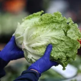 U salati na&scaron;li previ&scaron;e pesticida, a dok je inspekcija reagirala - prodali stotine kilograma!