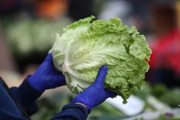U salati na&scaron;li previ&scaron;e pesticida, a dok je inspekcija reagirala - prodali stotine kilograma!