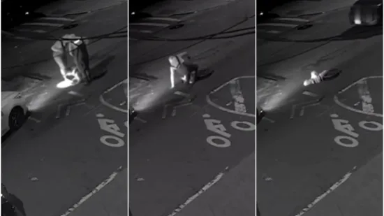 Ljudi noću izlaze iz &scaron;ahtova, dijele se bizarne snimke: 'Uđu unutra poput ninja kornjača'