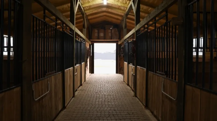 Tragedija kod Križevaca: Kobila udarila veterinara u prsni ko&scaron; i ubila ga