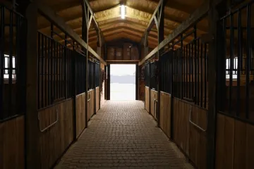 Tragedija kod Križevaca: Kobila udarila veterinara u prsni koš i ubila ga