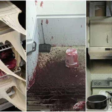 Ove fotke dokazuju da bi se neki ljudi zbilja trebali kloniti kuhinje: Prizori su zastra&scaron;ujući