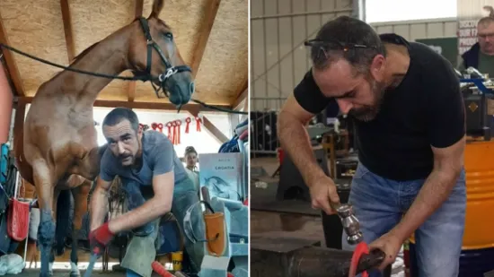 Zastra&scaron;ujuće: Kobila jednim udarcem ubila čovjeka! Profesorica s Veterine: 'Ovo je tragično'