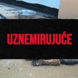 Vatrogasac (21) u Rovinju mučenjem ubio dva psa! Zapovjednik: 'Udaljili smo ga iz službe'