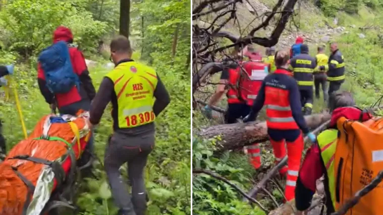 Medvjed napao Slovaka (37) i te&scaron;ko ga ozlijedio: Ovo je treći put da je preživio susret sa zvijeri!