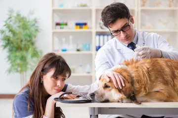 Veterinarka otkrila o čemu psi razmi&scaron;ljaju pred kraj: 'To je posljednji dar koji im možete dati'