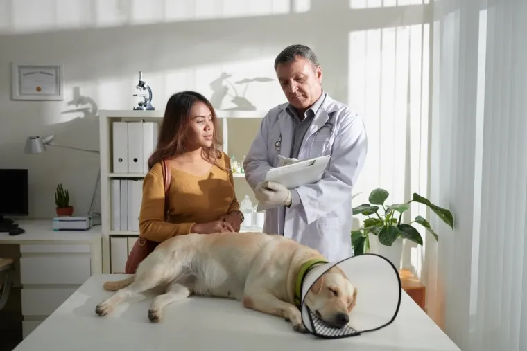 Veterinarka otkrila o čemu psi razmi&scaron;ljaju pred kraj: 'To je posljednji dar koji im možete dati'