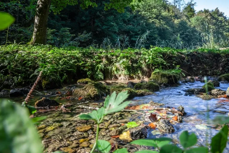 U srcu Slavonije skriva se planina koja je nekoć bila otok: Posjetite živi udžbenik geologije