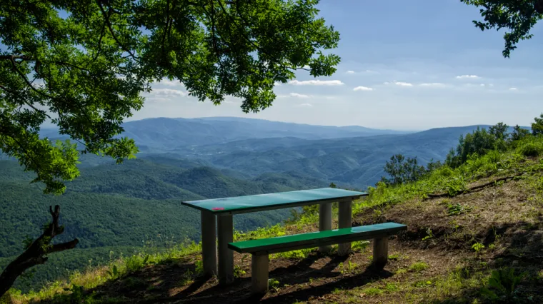 U srcu Slavonije skriva se planina koja je nekoć bila otok: Posjetite živi udžbenik geologije