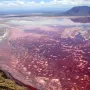 Krvavo jezero skriva prirodni fenomen: Fotografije koje obilaze svijet lede krv u žilama