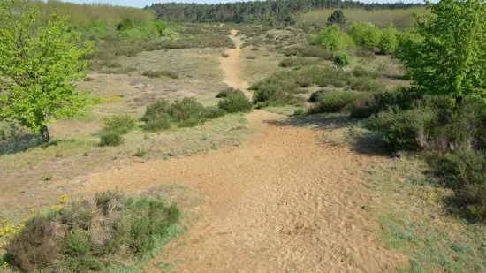 [KVIZ] Rijetki mogu imati sve točno na pitanjima o hrvatskim pustinjama i močvarama