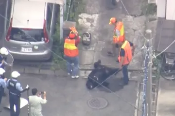 Potraga za opasnim medvjedom napokon zavr&scaron;ena! Napadao ljude, zbog njega zatvorili &scaron;kole
