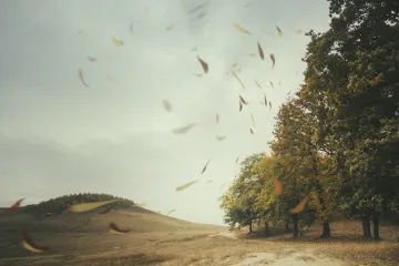 [KVIZ] Znate sve o vjetrovima? Onda je vrijeme da to dokažete na ovim pitanjima