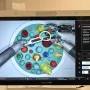 Nova generacija liječnika: Roboti koji pomiču granice medicine i mijenjaju pravila igre