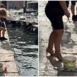 Nitko nije gledao ulov: Dubrovkinja do&scaron;la na ribanje, ali detalj je svima zapeo za oko