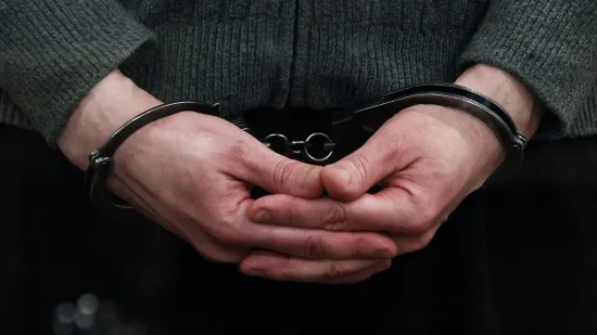Kod mu&scaron;karca (70) prona&scaron;li 31 zlostavljanog psa: Oduzete i mačke te za&scaron;tićene kornjače