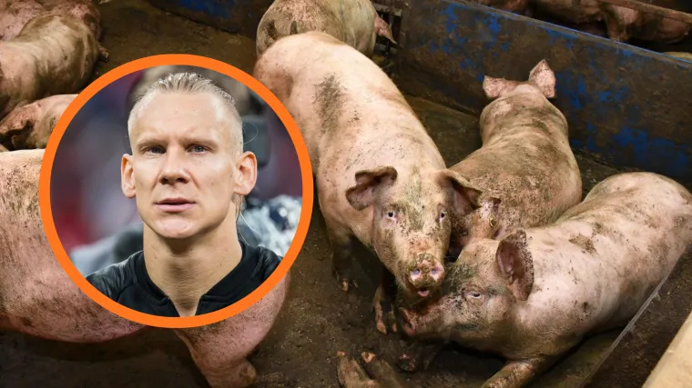 Zbog svinjske kuge na obližnjoj farmi, blokiran posao biv&scaron;em Vatrenom: 'Ni&scaron;ta se ne smije raditi'
