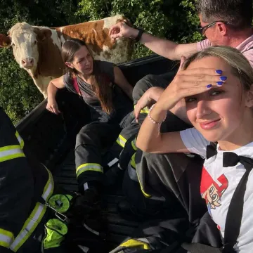 Vatrogasci krenuli spa&scaron;avati kravu, ona ih pretekla! Ostao im 'samo' mulj