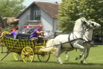 U Babinoj Gredi vezivali repove i sklapali kola: 'Bolje ne može!'
