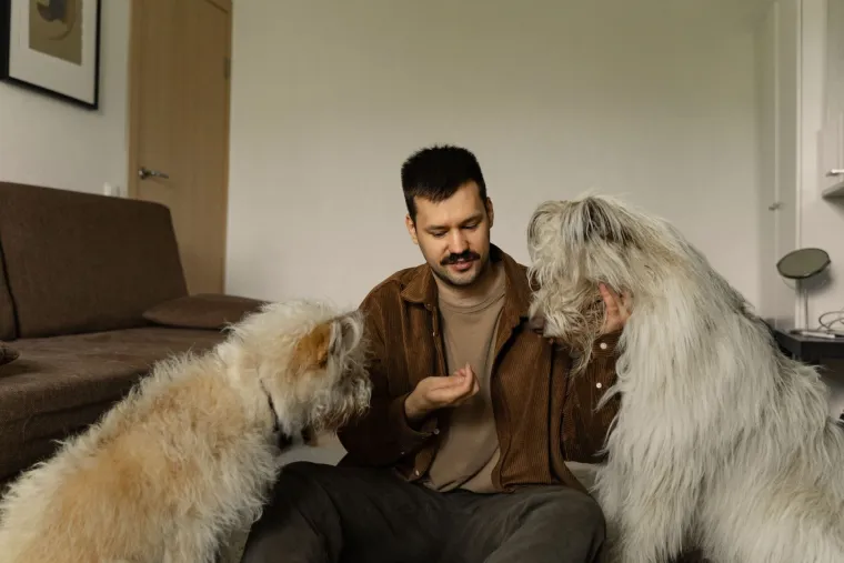 Veterinari savjetuju koji su najbolji dodaci prehrani za pse: Ove treba izbjegavati