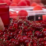Prije mjesec dana bile su 20, a danas ko&scaron;taju dva eura: Kako je do&scaron;lo do takvog pada?
