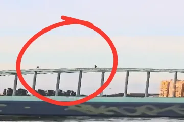 Dvojica mladića snimljeni kako trče po vrhu Hendrixova mosta