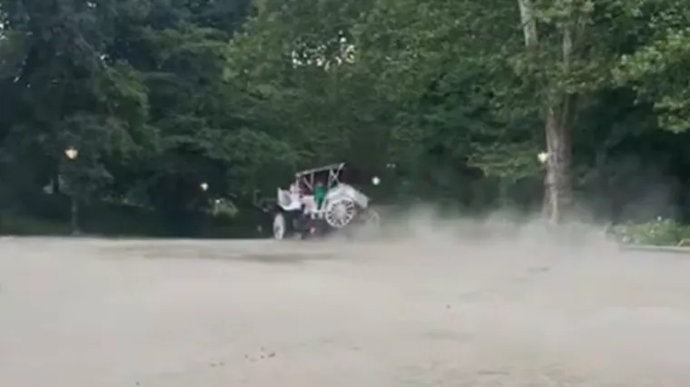Turist (18) poginuo u Central Parku: Konj se prepla&scaron;io i prevrnuo kočiju, pojavila se snimka