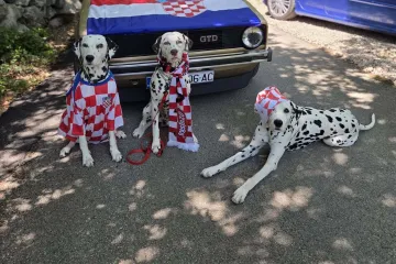 Ovo su najslađi navijači: Nema &scaron;anse da ostanete ravnodu&scaron;ni i da vam ne izmame osmijeh