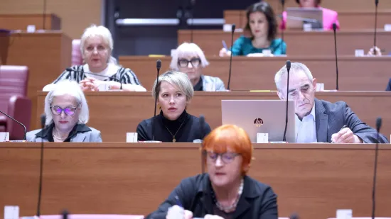 Kaos nakon prijedloga Možemo! o mirovinama za branitelje: Frcale te&scaron;ke optužbe