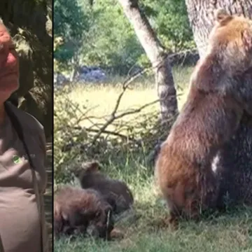 Biolog doživio opasan scenarij, ispričao nam je detalje: 'Medvjedica me gledala'