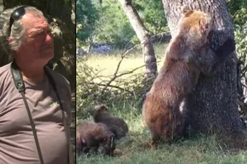 Biolog doživio opasan scenarij, ispričao nam je detalje: 'Medvjedica me gledala'