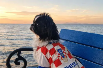Oni su spremni za tekmu, a vi? Va&scaron;i ljubimci neodoljivi su u bojama Vatrenih
