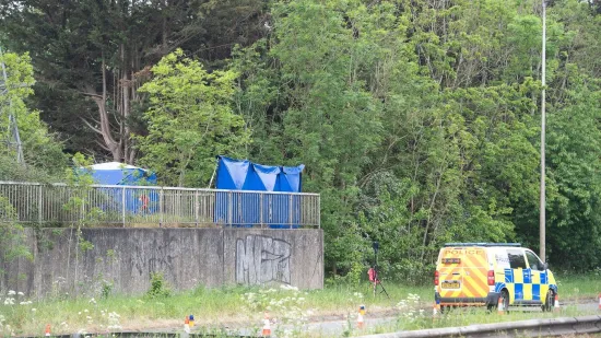 U Velikoj Britaniji pronađena mrtva djevojčica (14), policija pokrenula masovnu istragu